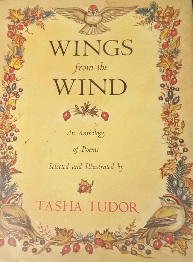 2015-10-12 20.06.38-1_resized