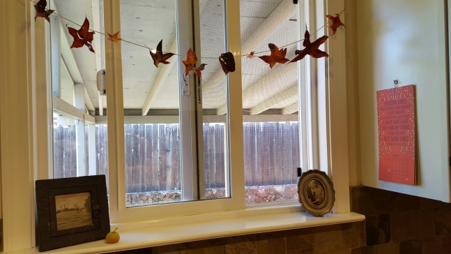 20151022_143341_resized