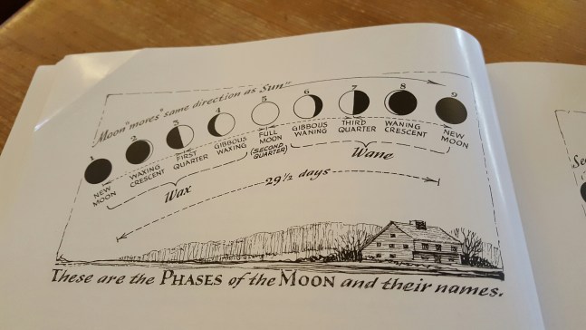 20151024_161855_resized