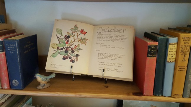 20151024_163729_resized