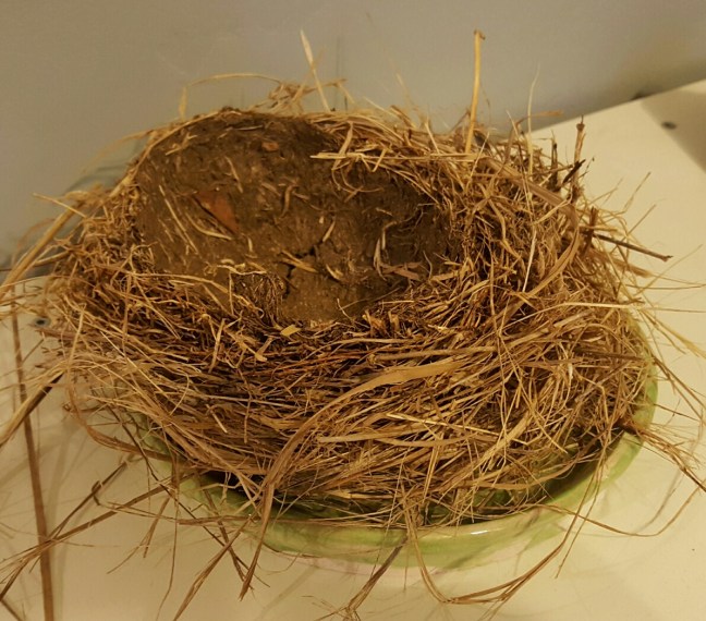 20151024_171458-1_resized